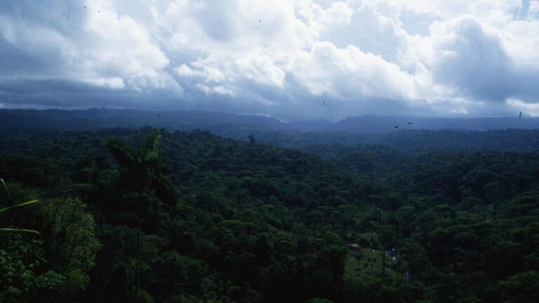 1788066054_wide__1300x731.jpeg