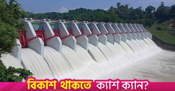 1788078079_kaptai-plant.jpg