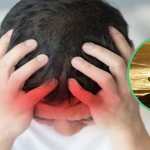 652cfcbf80ec5d045a3fae1109928e54-6a7c2a074eb4e.jpg