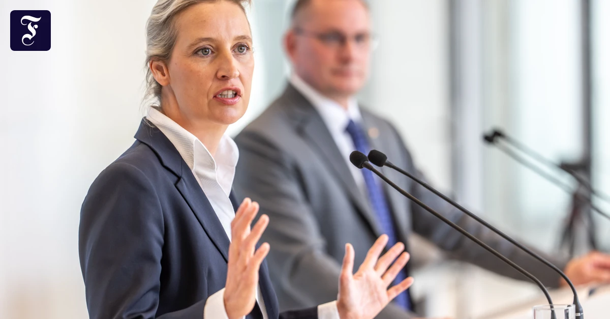 afd-chefin-alice-weidel-links.webp.webp