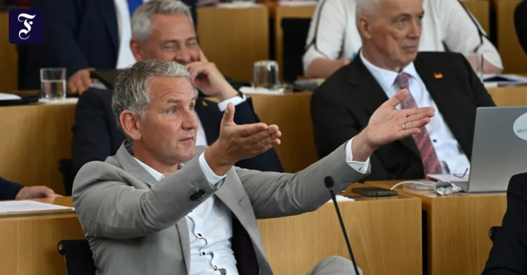 afd-fraktionschef-bjoern.webp.webp