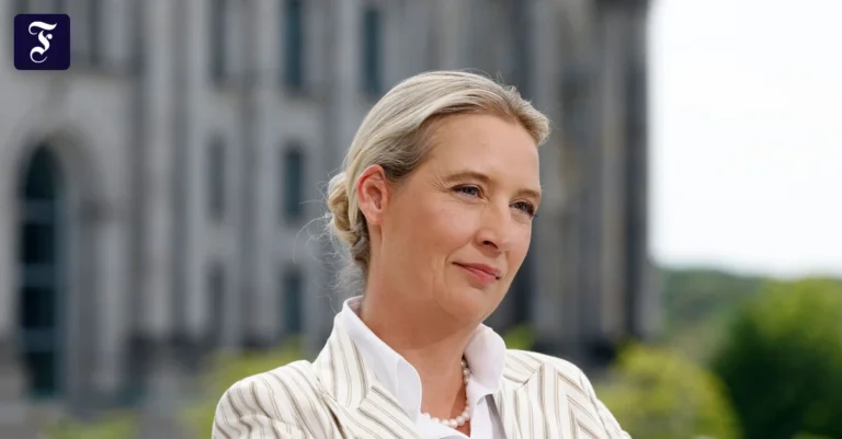 alice-weidel-im.webp.webp
