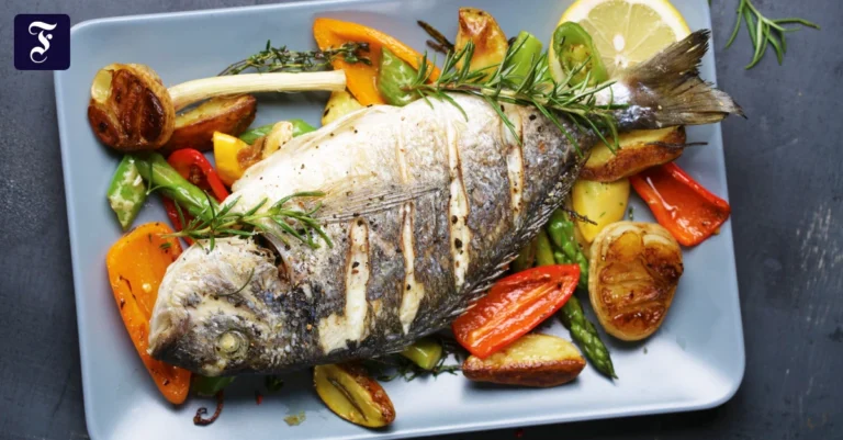 an-diese-form-von-fisch-soll.webp.webp