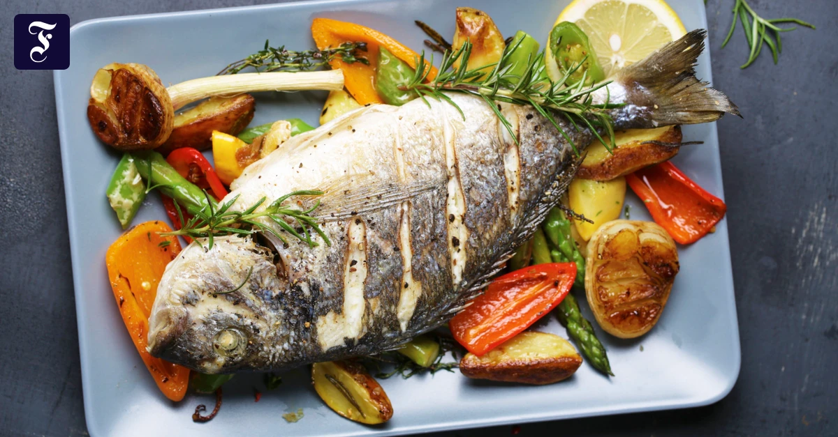 an-diese-form-von-fisch-soll.webp.webp
