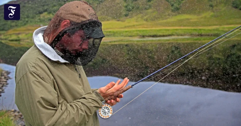 angler-vergiss-die-handschuhe.webp.webp