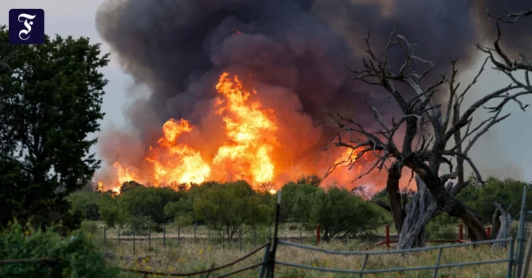 aufnahmen-des-feuers-in-der.webp.webp