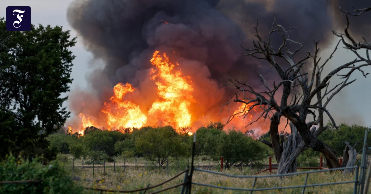 aufnahmen-des-feuers-in-der.webp.webp