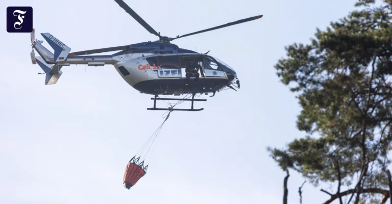 bei-einem-waldbrand-zwischen.webp.webp
