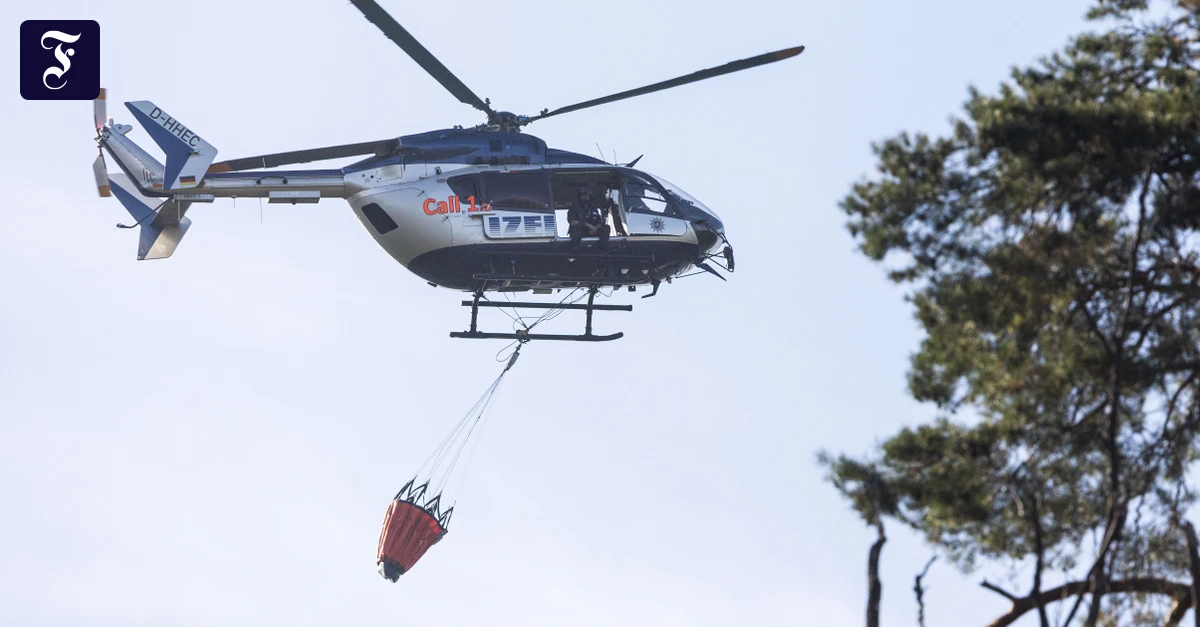 bei-einem-waldbrand-zwischen.webp.webp