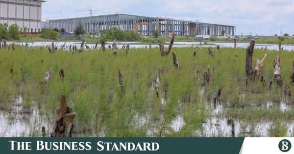 ctg_national_special_economic_zone_nsezphoto18.jpg