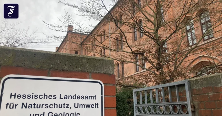 das-hessische-landesamt-fuer.webp.webp