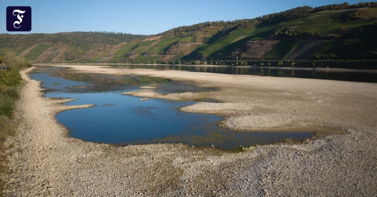 der-rhein-bei-osterspai-in-der.webp.webp