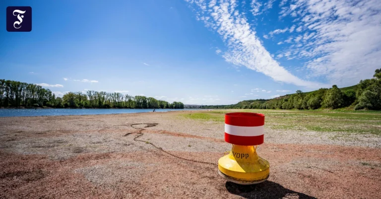 der-rhein-ist-bei-nierstein.webp.webp