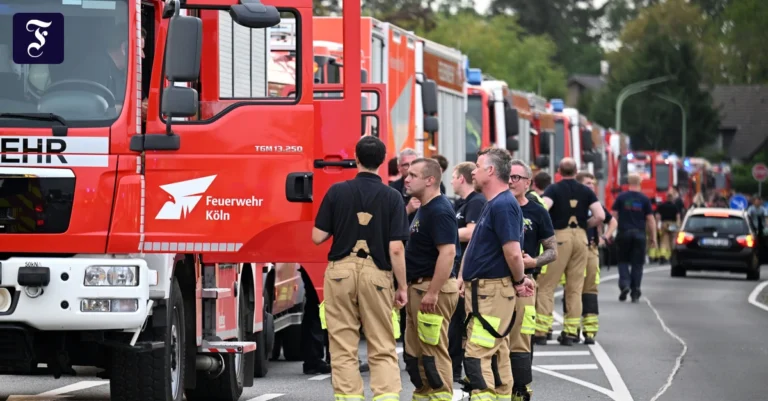 der-waldbrand-wurde-von-den.webp.webp