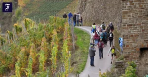die-besucher-sind-zurueck.webp.webp