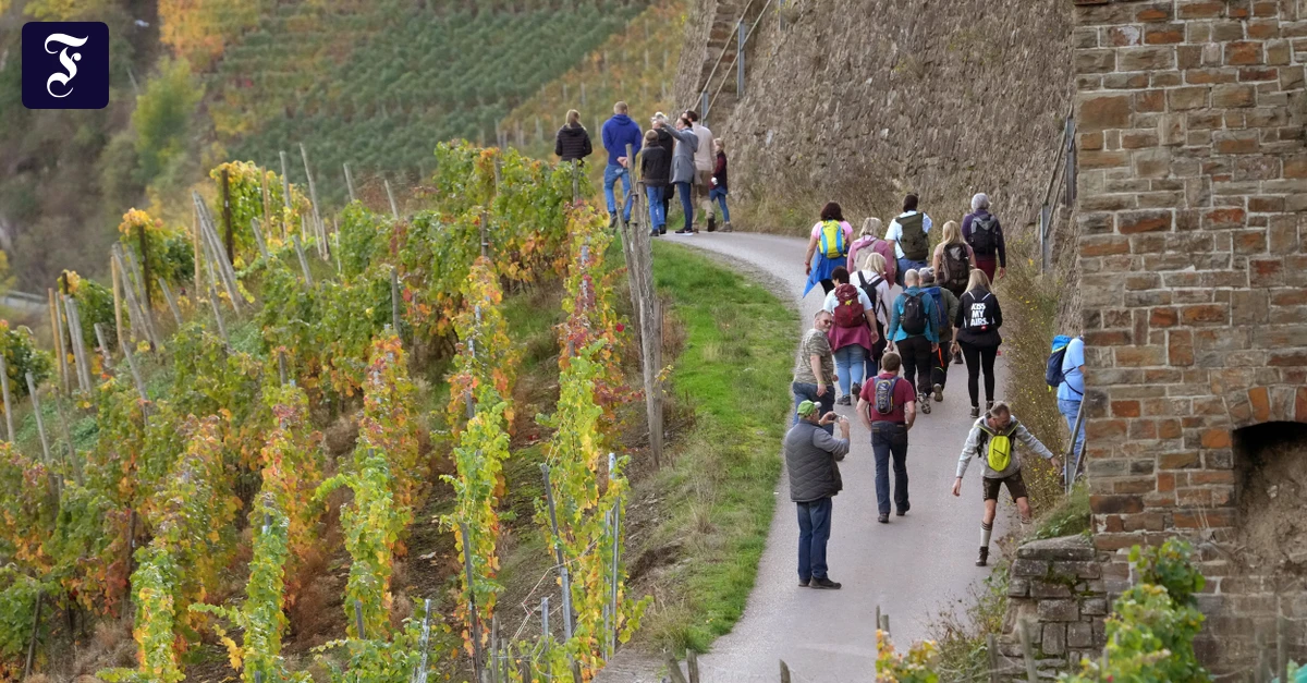 die-besucher-sind-zurueck.webp.webp
