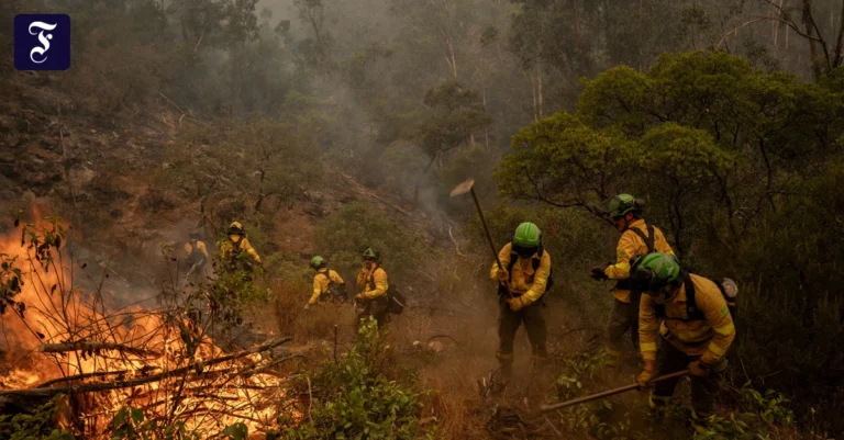 die-feuerwehr-ist-bei-niebla.webp.webp