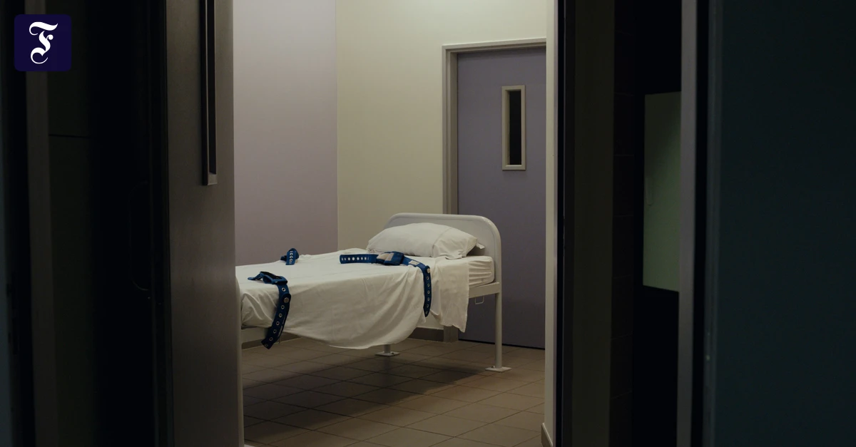 die-franzoesische-psychiatrie.webp.webp