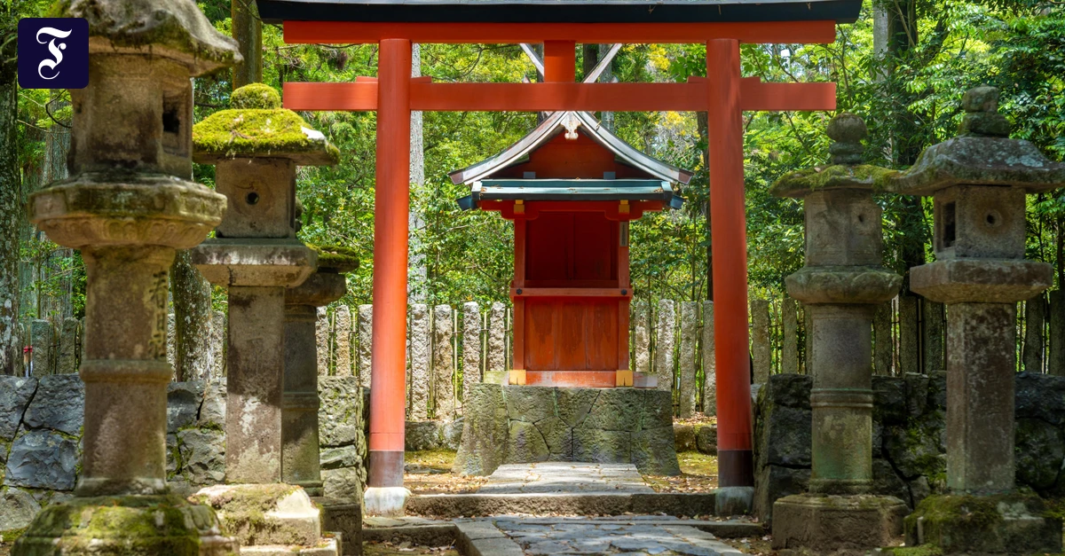 ein-torii-mit-shinto-schrein.webp.webp