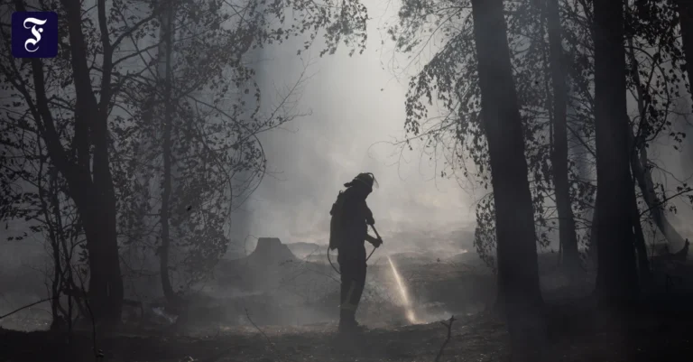 ein-waldbrand-zwischen-ober.webp.webp