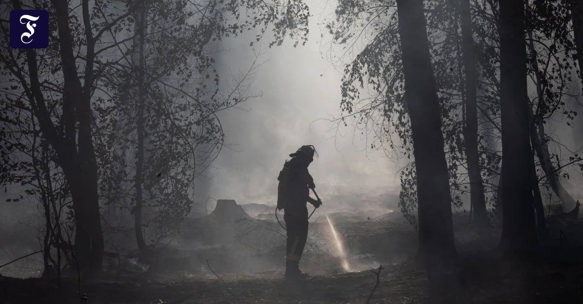 ein-waldbrand-zwischen-ober.webp.webp