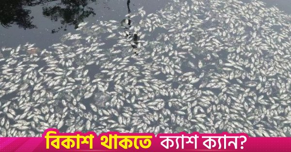 fish_death.jpg
