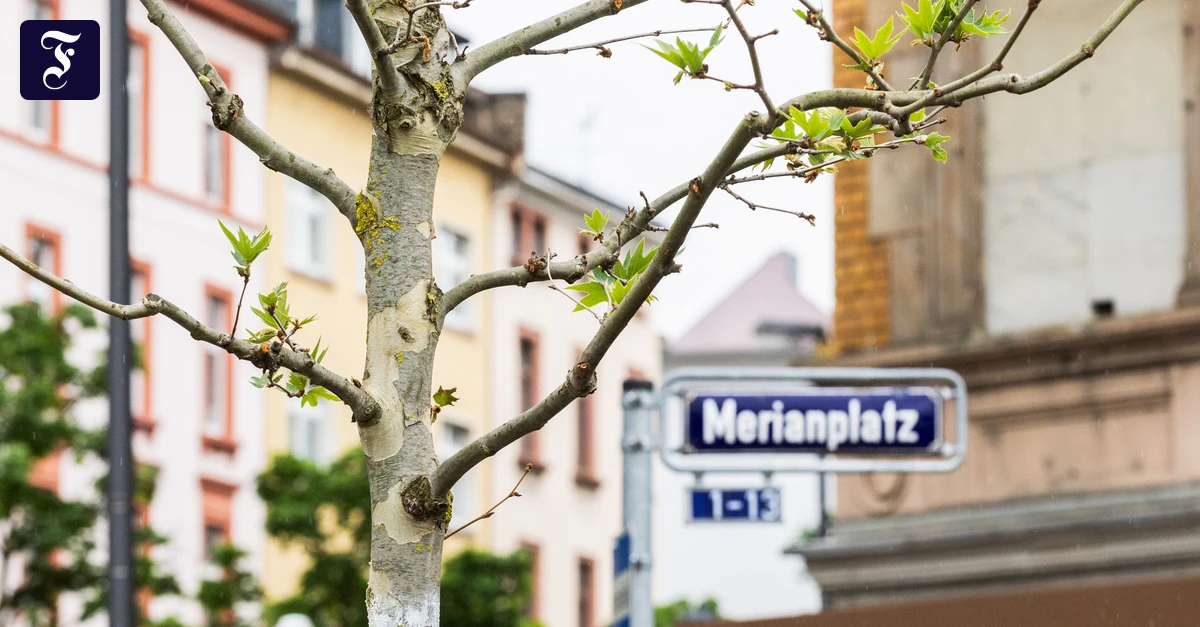 frisch-gepflanzt-seit.webp.webp