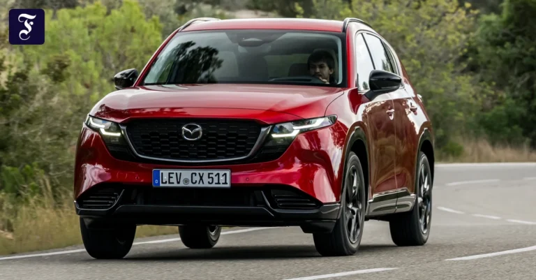gewachsen-und-erwachsen-mazda.webp.webp