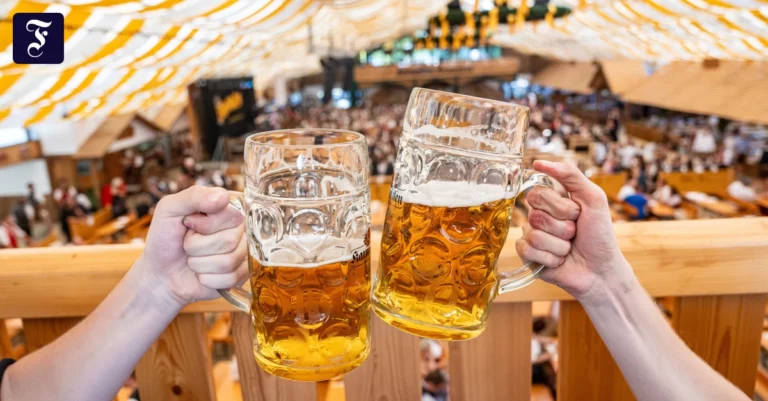 gute-stimmung-auf-dem.webp.webp