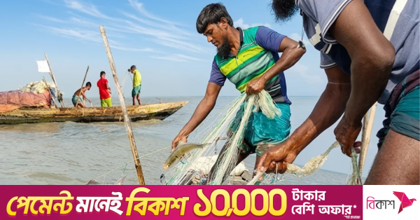 hilsa_returns_to_bhola_rivers_fishermen_see_hope_after_crisis.png