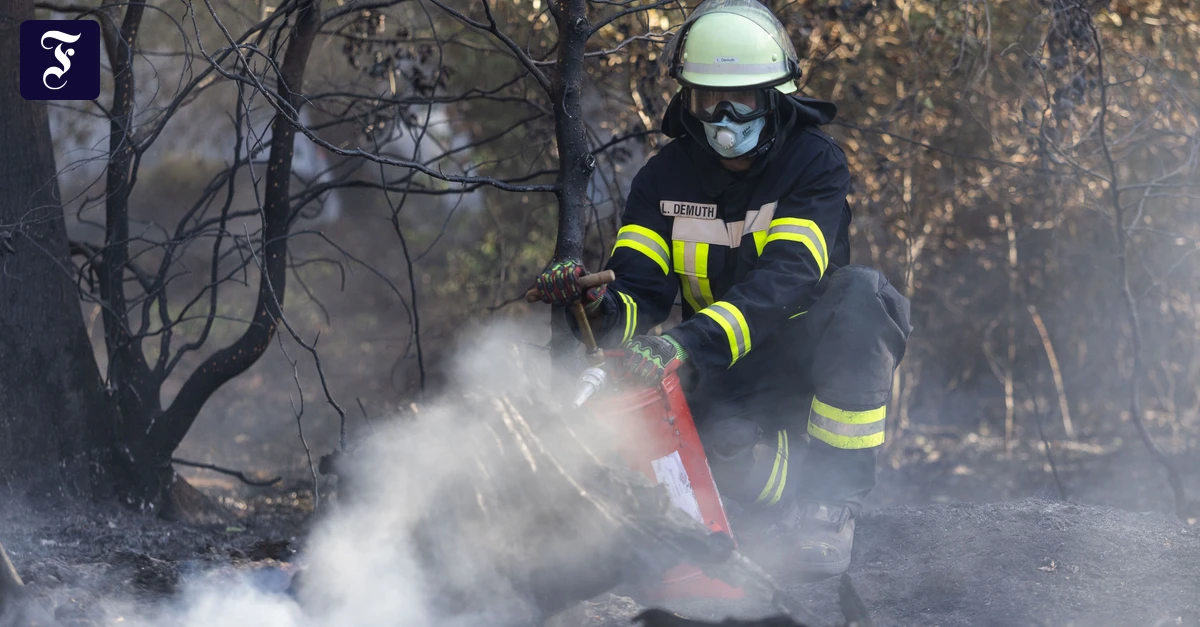 im-wald-zwischen-ober-und.webp.webp