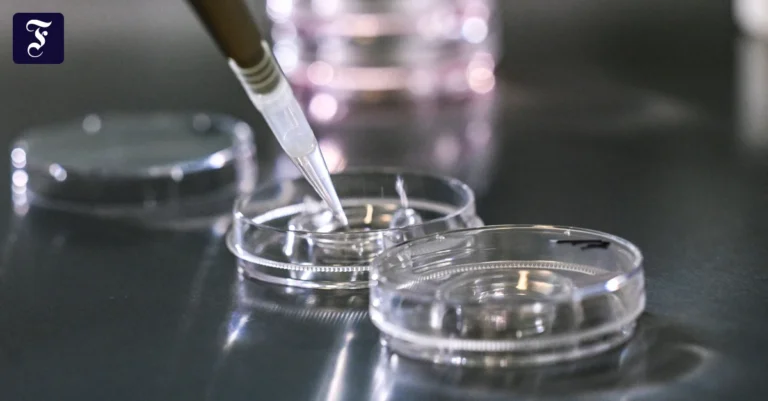 im-zelllabor-werden.webp.webp