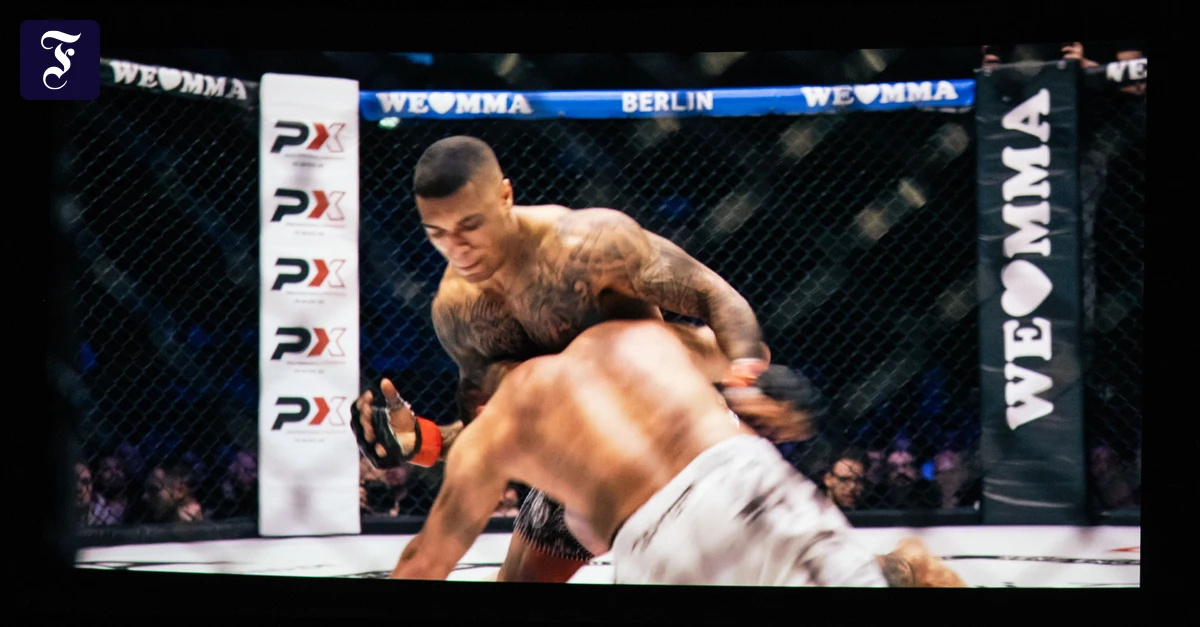 in-der-miniserie-berichten-mma.webp.webp