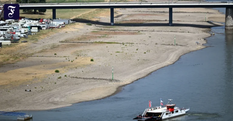 kaum-wasser-der-rhein-in.webp.webp