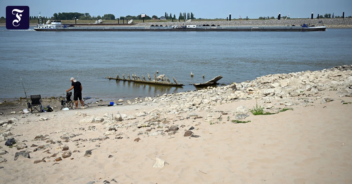 niedrigwasser-in-kleve-am.webp.webp