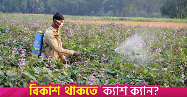 pesticide.jpg