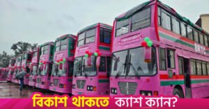 pink_bus_1.jpg