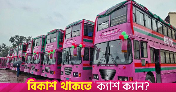 pink_bus_1.jpg