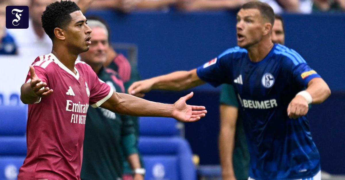 real-lief-auf-schalke-mit.webp.webp