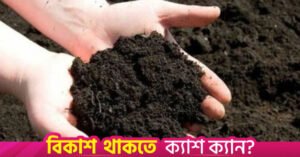 soil.jpg