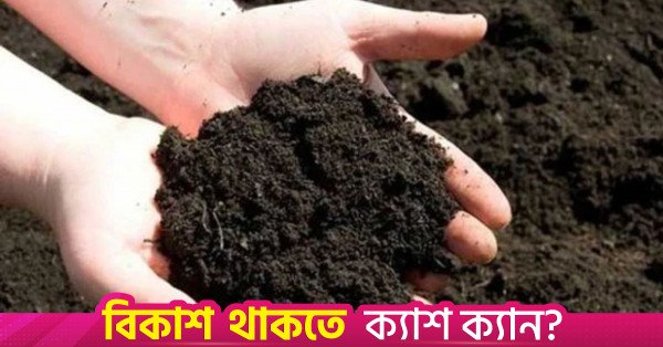 soil.jpg