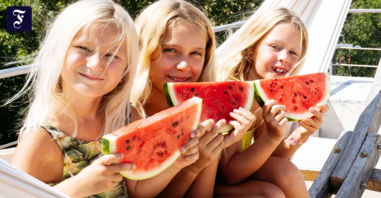 sommer-sonne-wassermelone.webp.webp