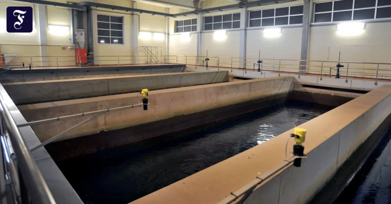 vorbereitung-rheinwasser-wird.webp.webp