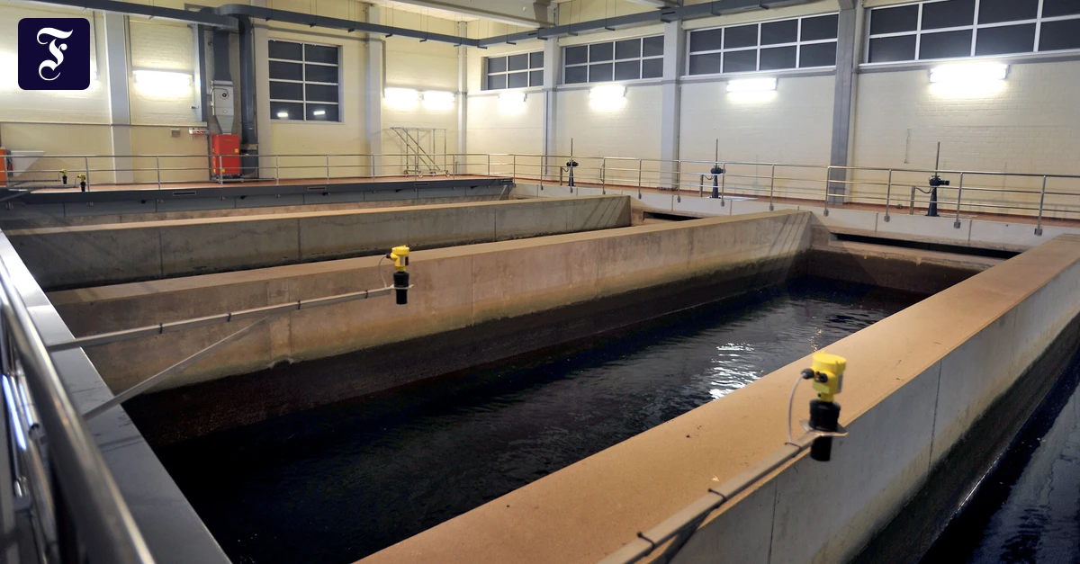 vorbereitung-rheinwasser-wird.webp.webp