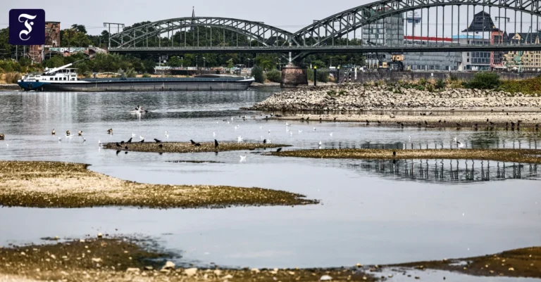 wenig-wasser-im-rhein-ein.webp.webp