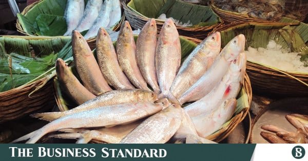 1790154783_hilsa_latest.jpg