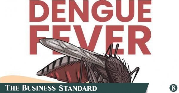 1790356688_dengue.jpg