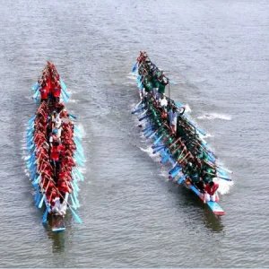 397de5e58532d5d9646398cc40a86b84-6aa5ea33ce1c5.jpg