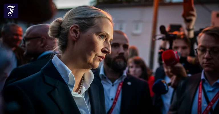 alice-weidel-bundesvorsitzende.webp.webp