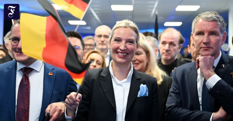 aneignung-tino-chrupalla-alice.webp.webp